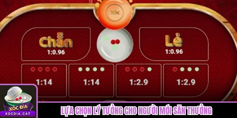 Cược Chẵn Lẻ Xóc Đĩa Có Dễ Thắng Không - Lý Giải Dễ Hiểu 2 Lựa chọn lý tưởng cho người mới săn thưởng